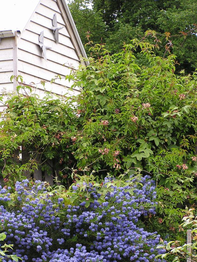 Lemonade Creek Cottages Лорн Экстерьер фото